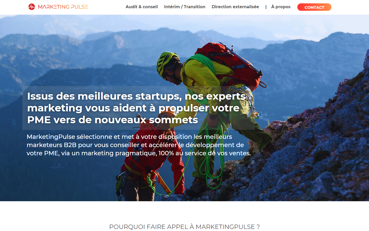 Aperçu du site de Marketing Pulse