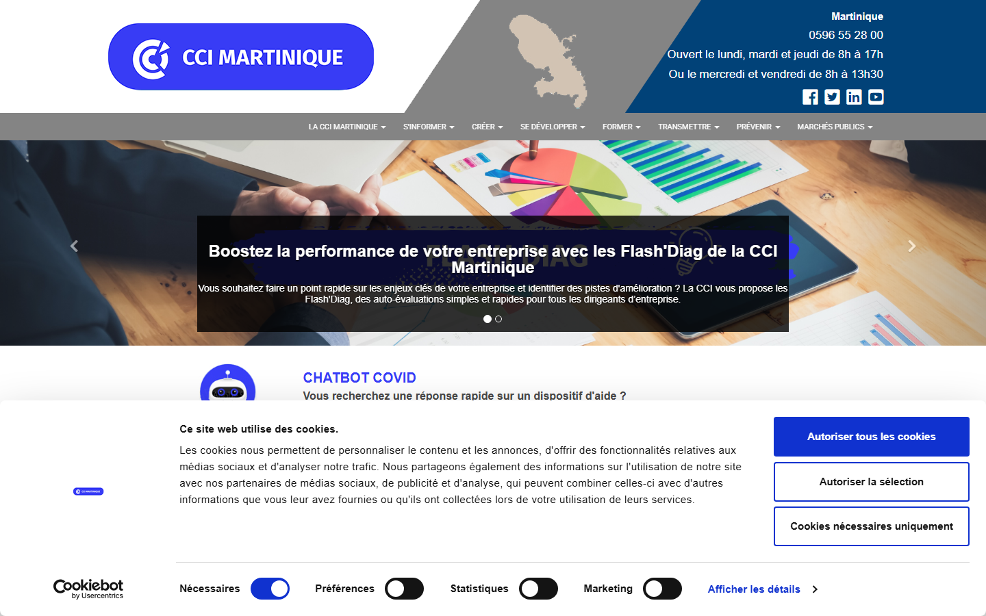 Aperçu du site de CHAMBRE DE COMMERCE ET D'INDUSTRIE DE LA MARTINIQUE