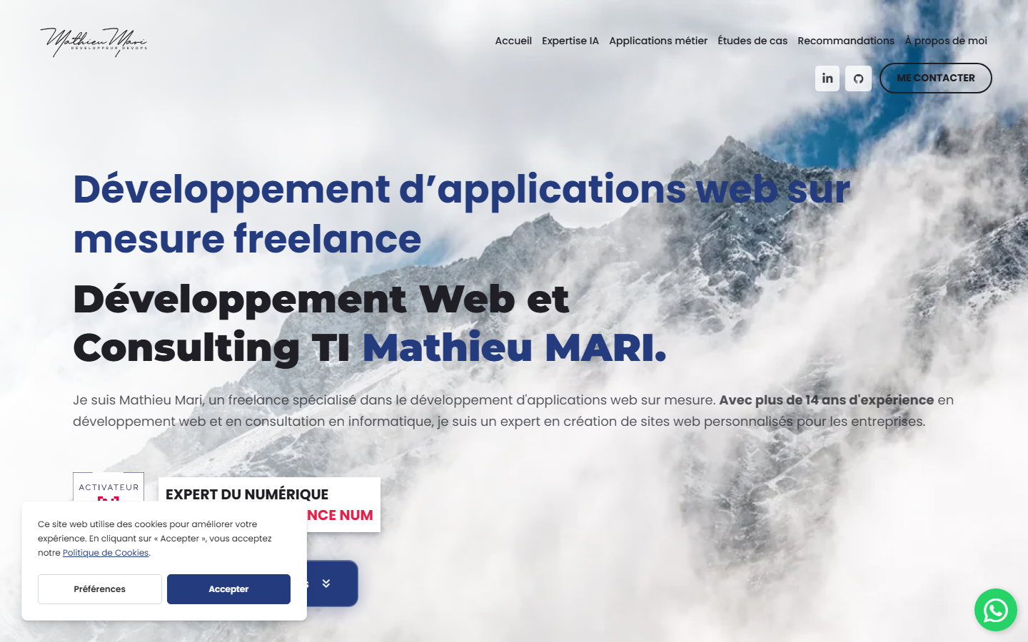 Aperçu du site de Mathieu Mari