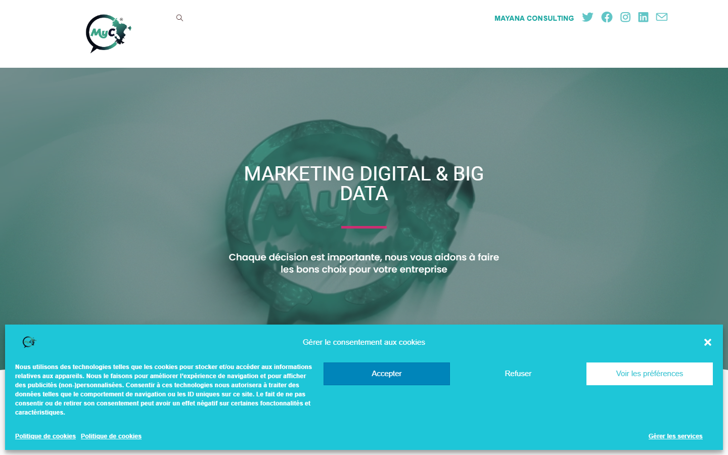 Aperçu du site de MAYANA CONSULTING