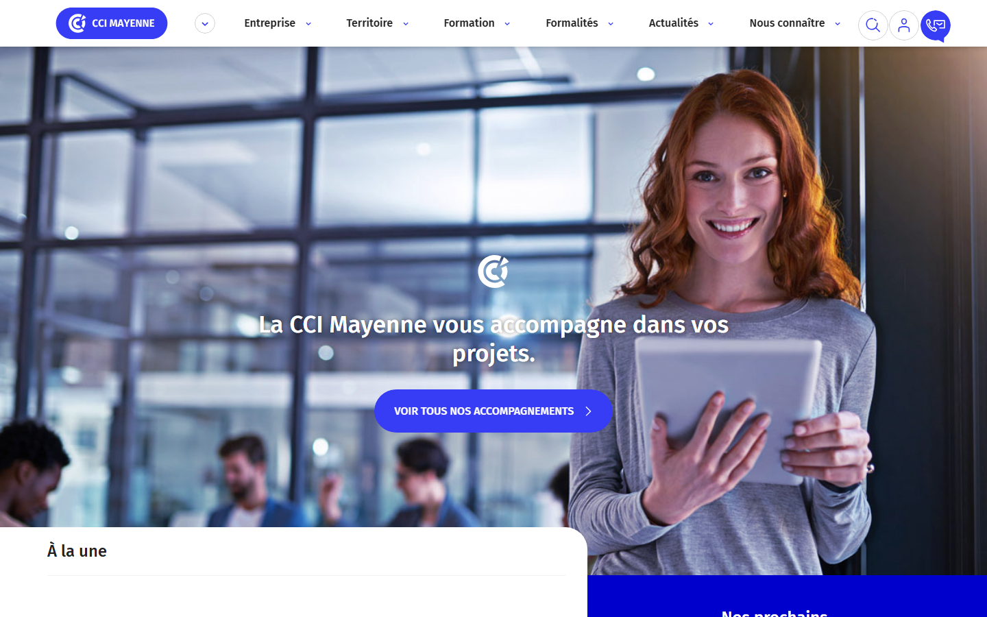 Aperçu du site de Chambre de commerce et d'industrie Mayenne