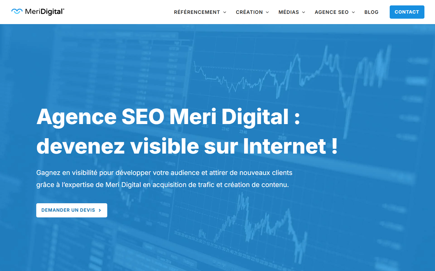Aperçu du site de MERI DIGITAL