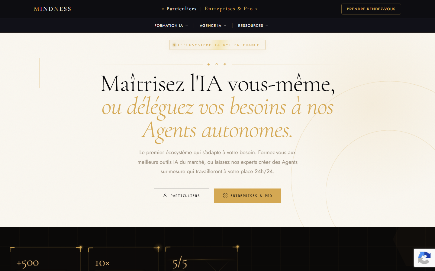 Aperçu du site de MINDNESS