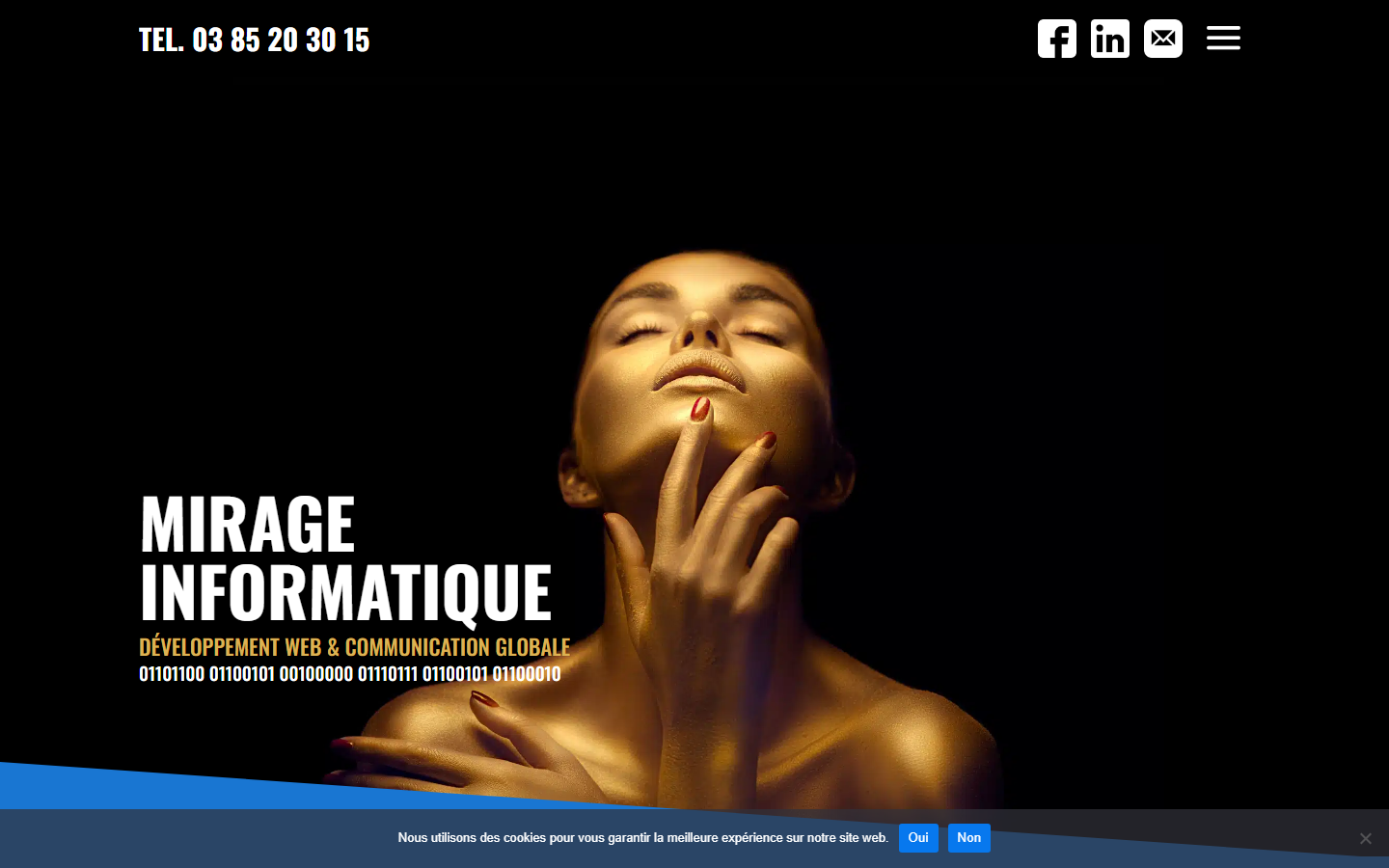 Aperçu du site de MIRAGE INFORMATIQUE