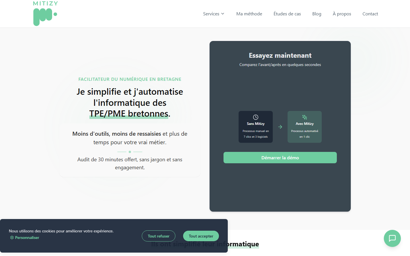 Aperçu du site de MITIZY