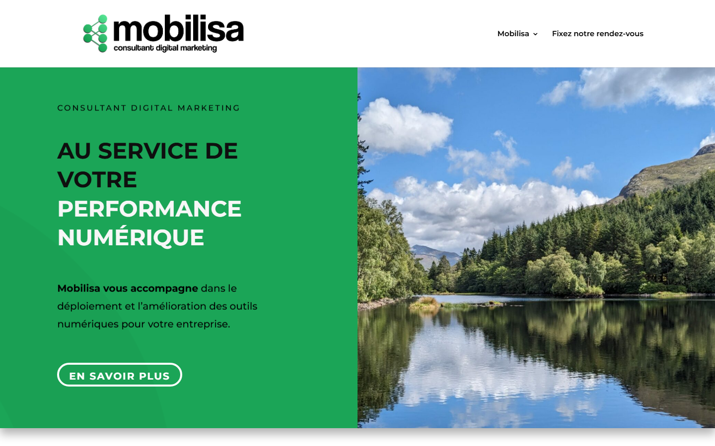 Aperçu du site de MOBILISA