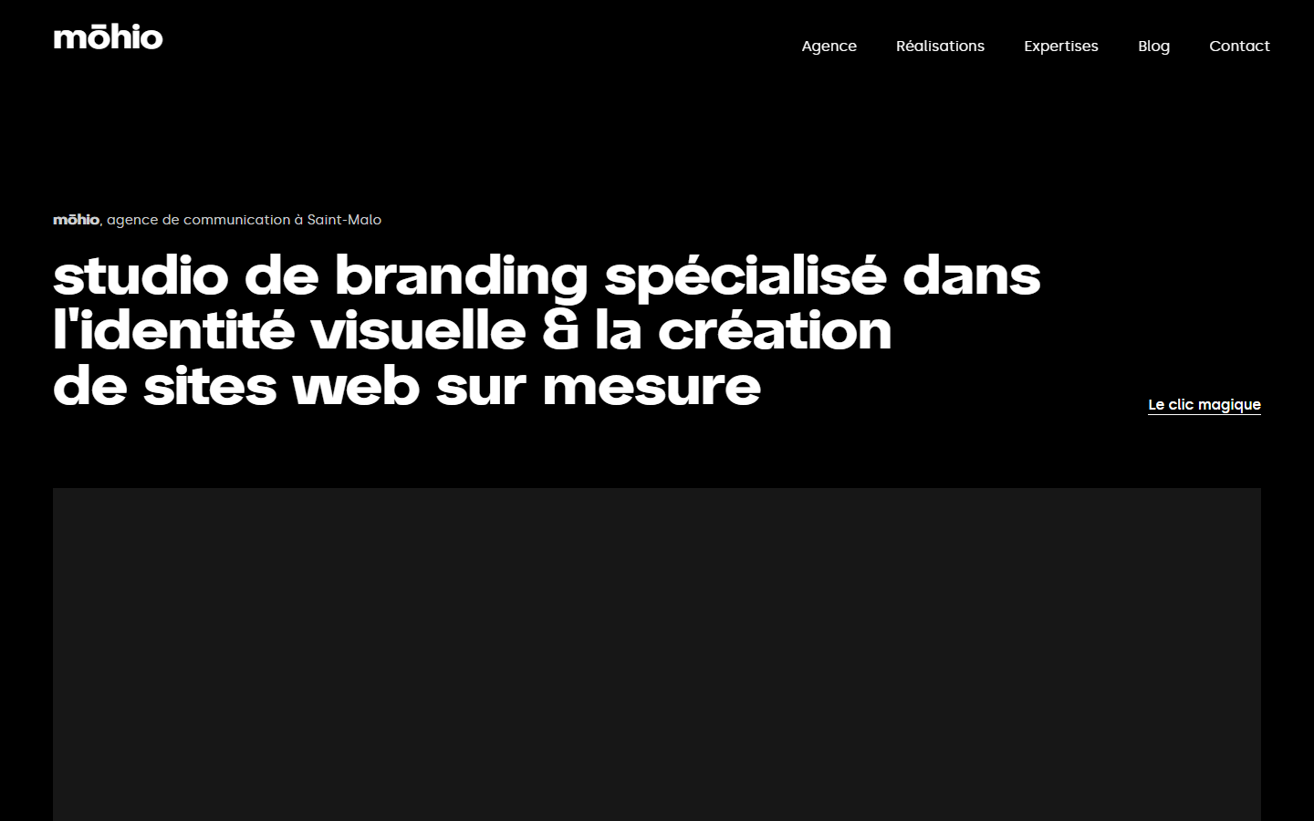 Aperçu du site de MOHIO