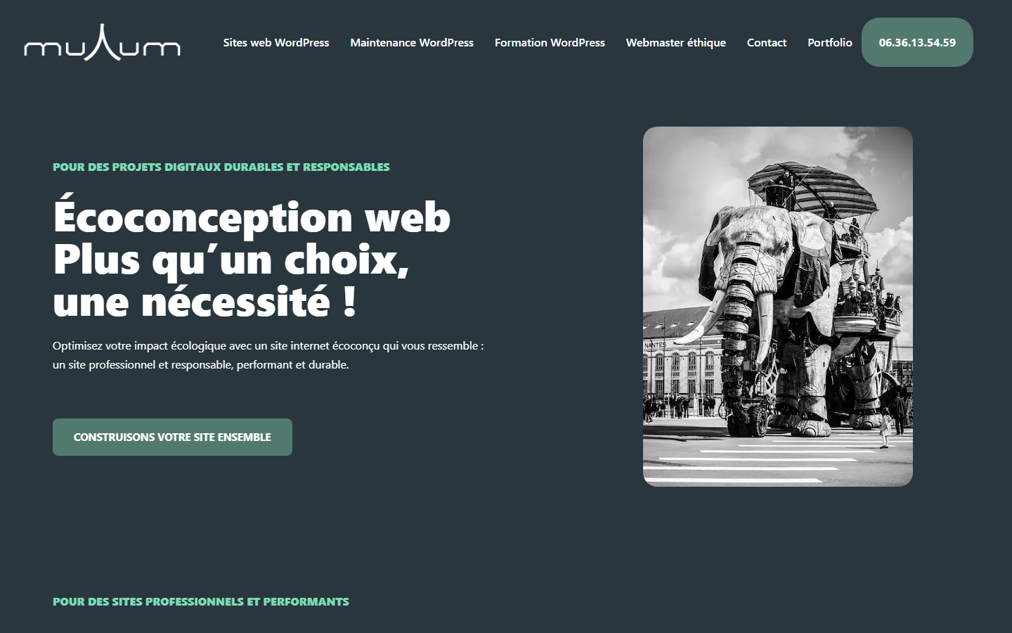 Aperçu du site de muTum website