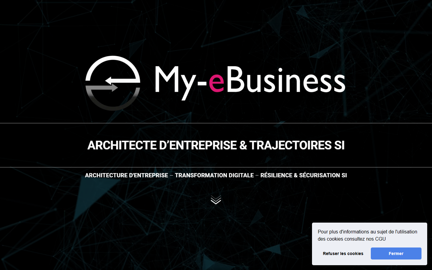 Aperçu du site de My-eBusiness