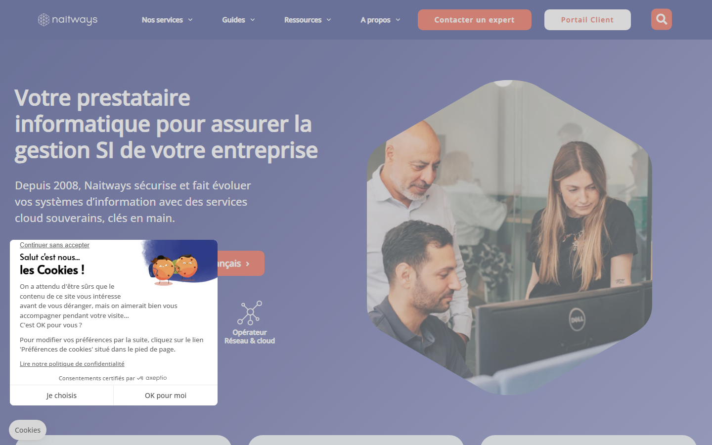 Aperçu du site de NAITWAYS