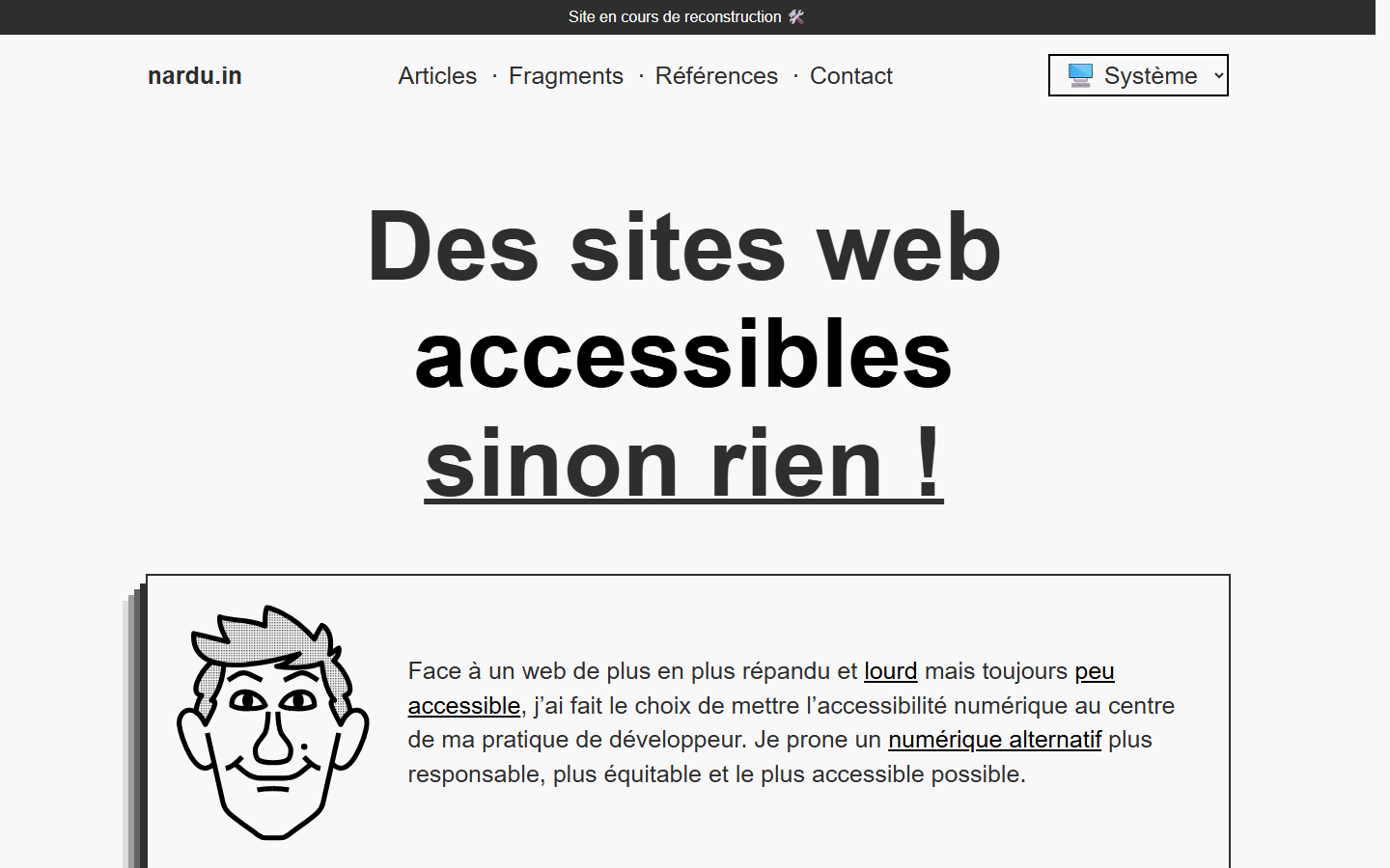 Aperçu du site de Nicolas Arduin E.I.