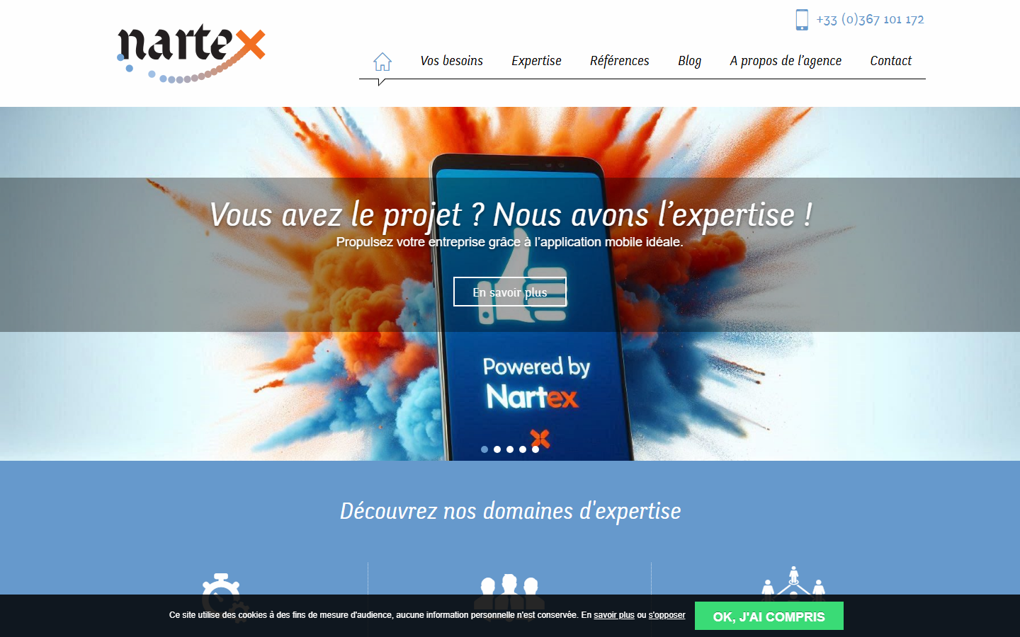 Aperçu du site de NARTEX