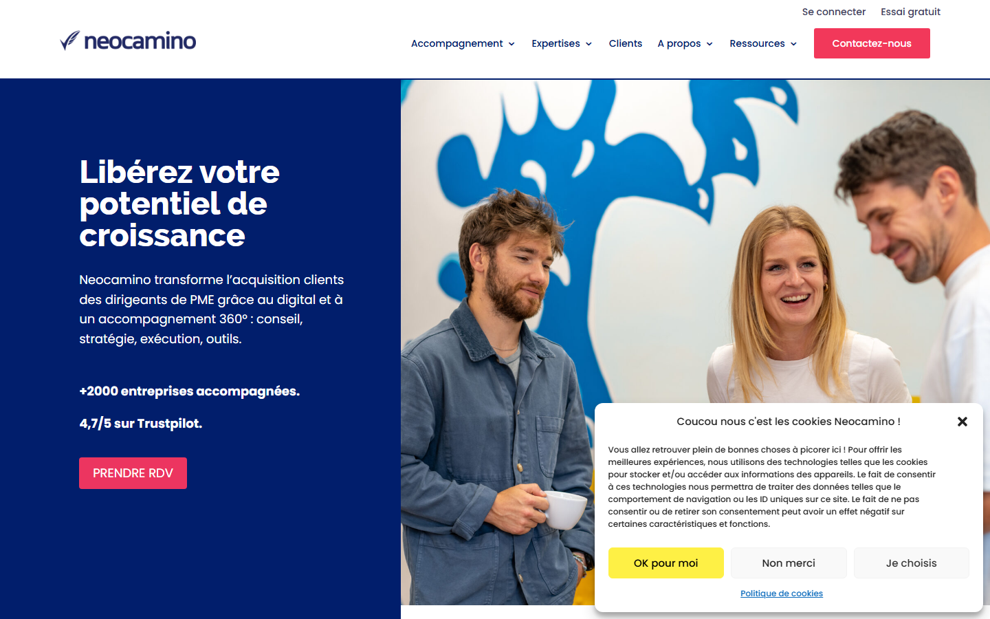 Aperçu du site de NEOCAMINO