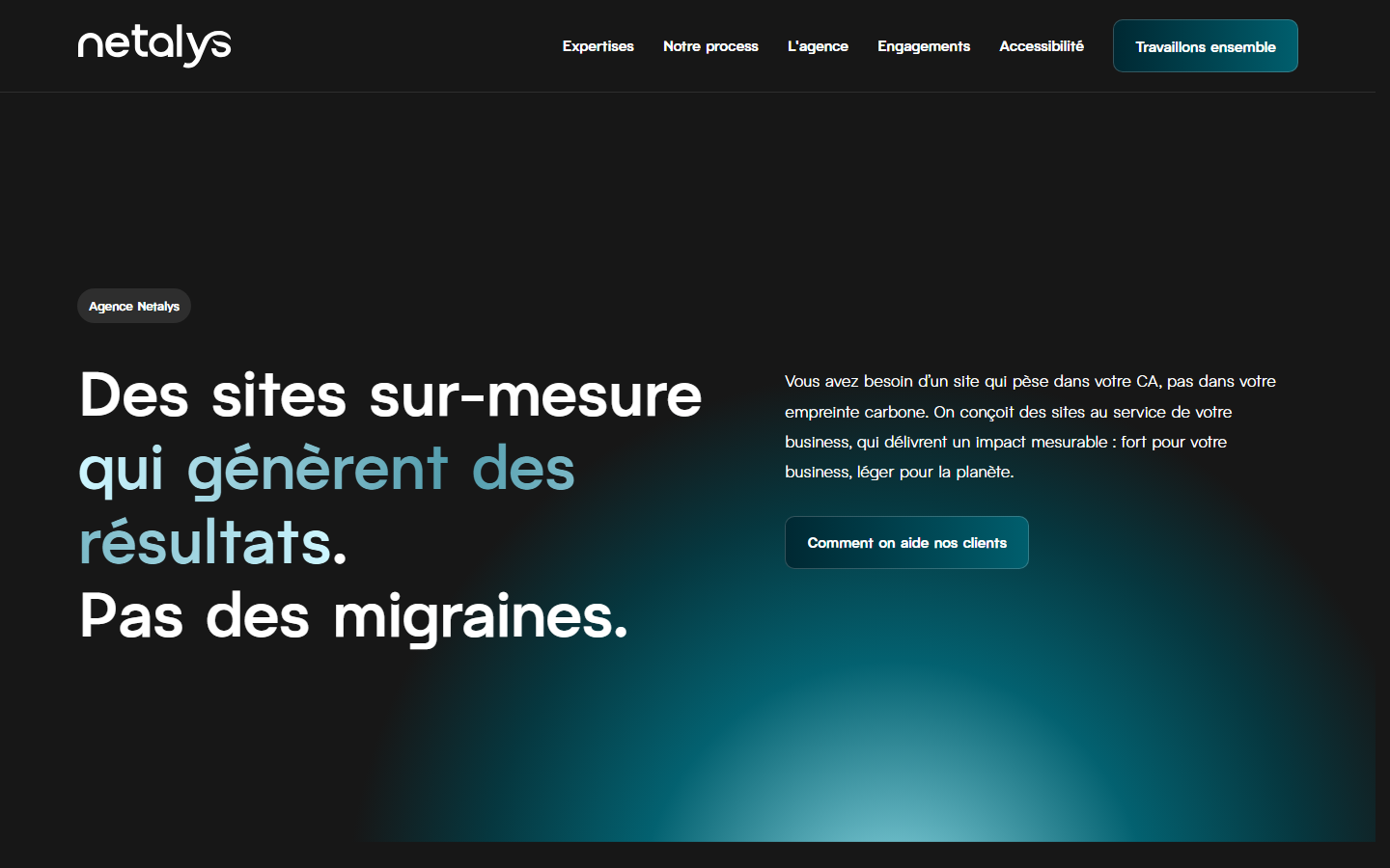 Aperçu du site de NETALYS