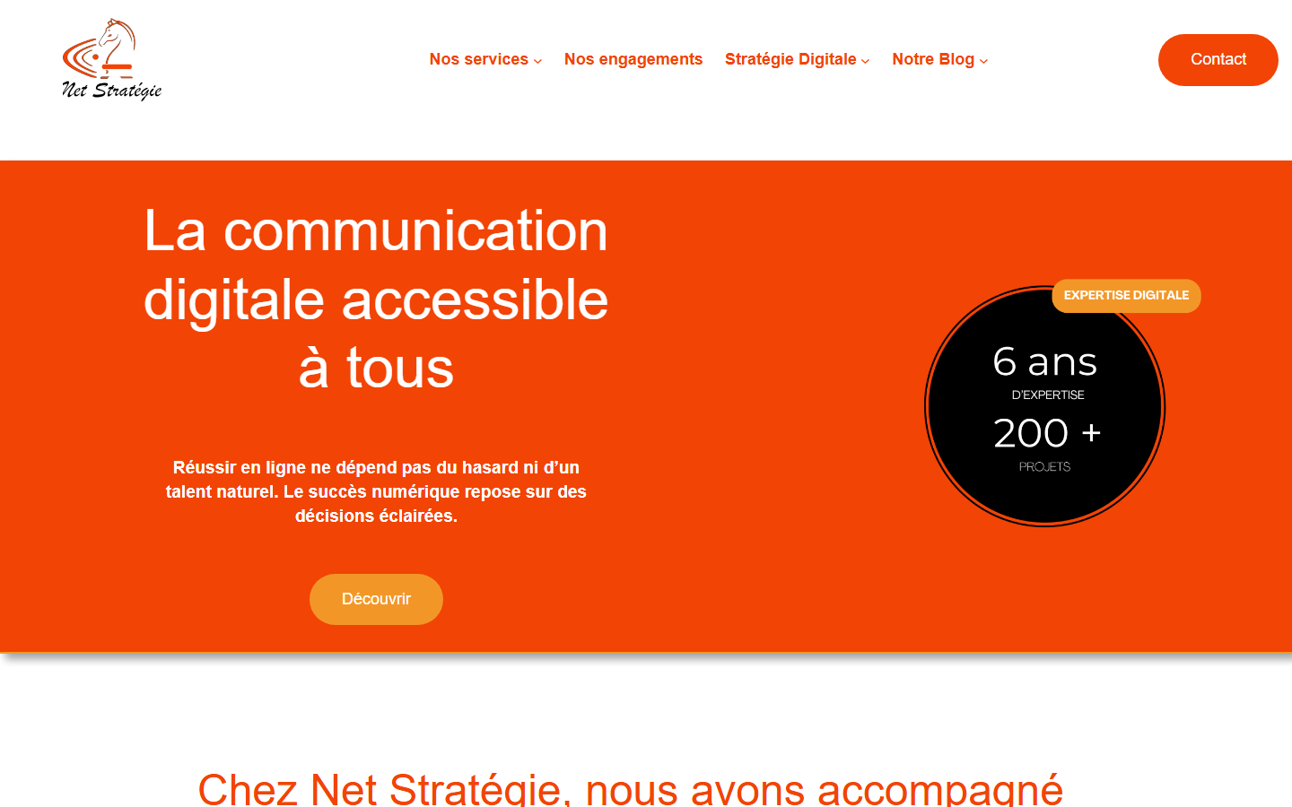 Aperçu du site de Net Stratégie