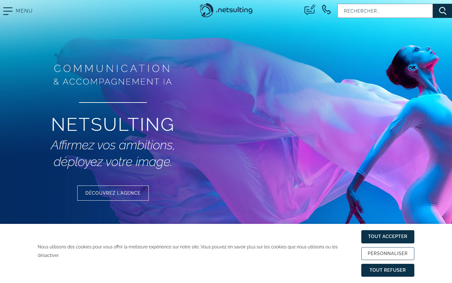 Aperçu du site de NETSULTING
