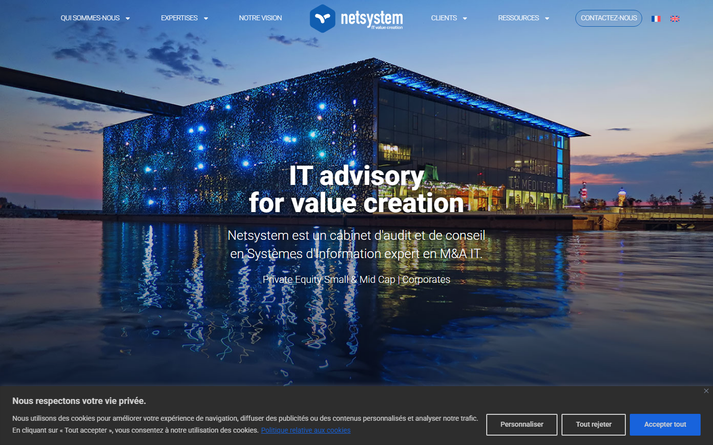 Aperçu du site de NETSYSTEM