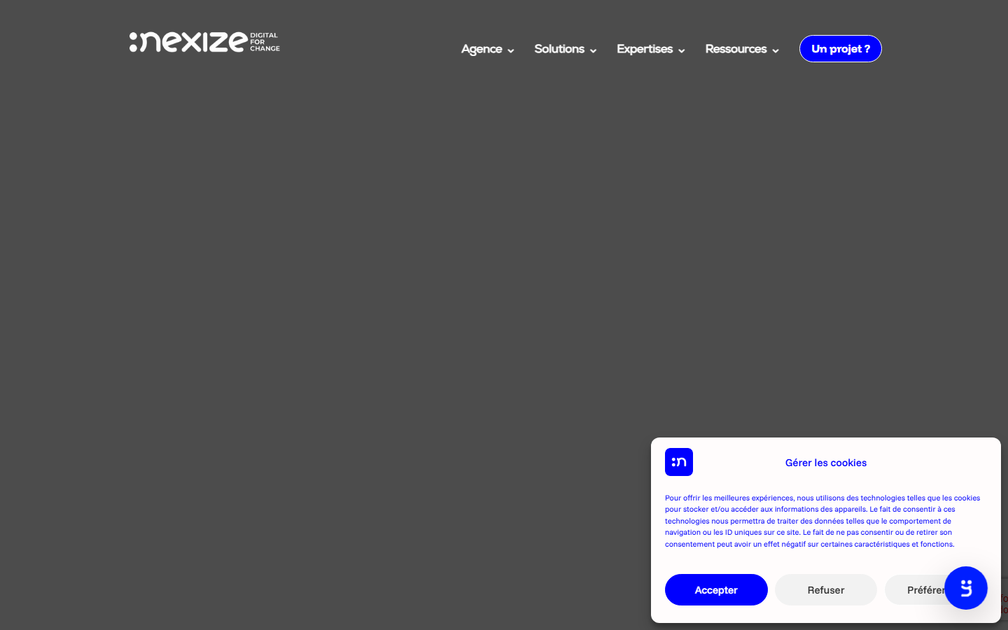 Aperçu du site de NEXIZE
