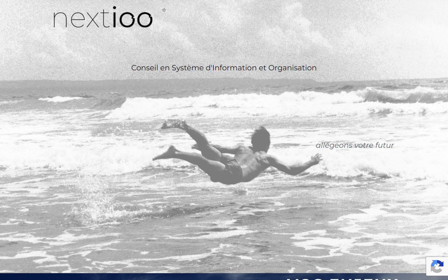Aperçu du site de NEXTIOO