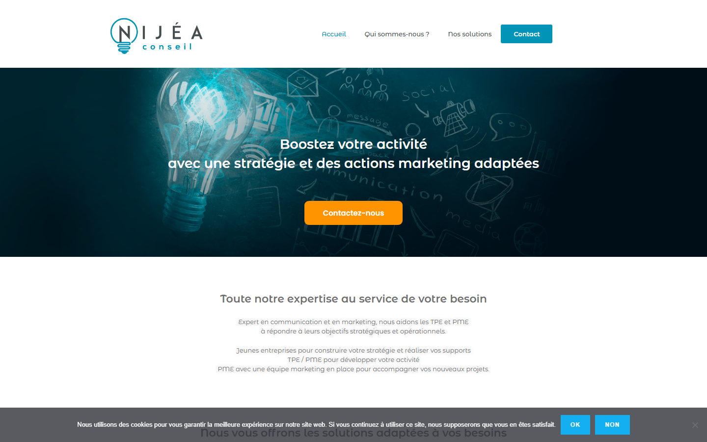 Aperçu du site de NIJEA CONSEIL