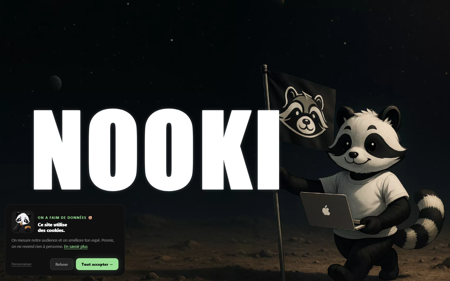 Aperçu du site de NOOKI