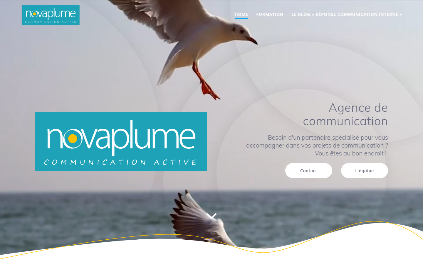 Aperçu du site de NOVAPLUME