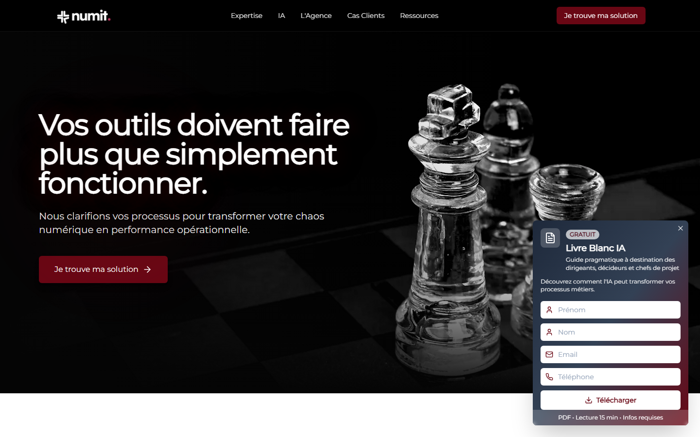 Aperçu du site de NUMIT