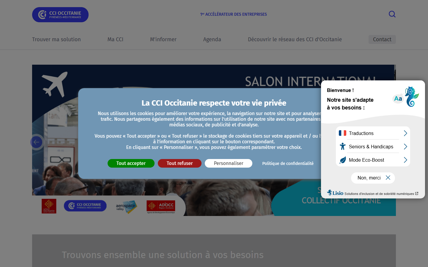 Aperçu du site de CHAMBRE DE COMMERCE ET D'INDUSTRIE DE REGION OCCITANIE