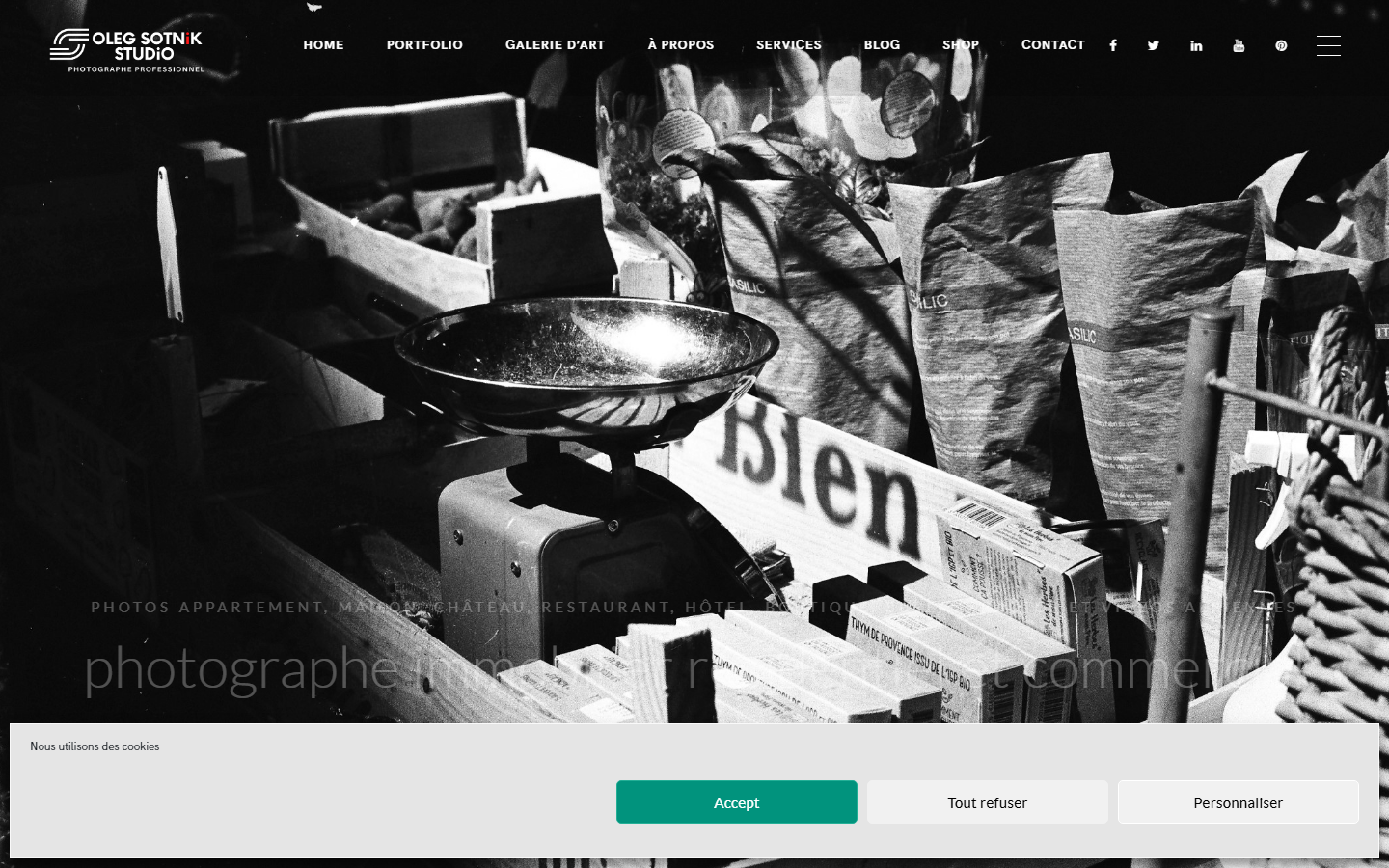 Aperçu du site de Oleg Sotnik
