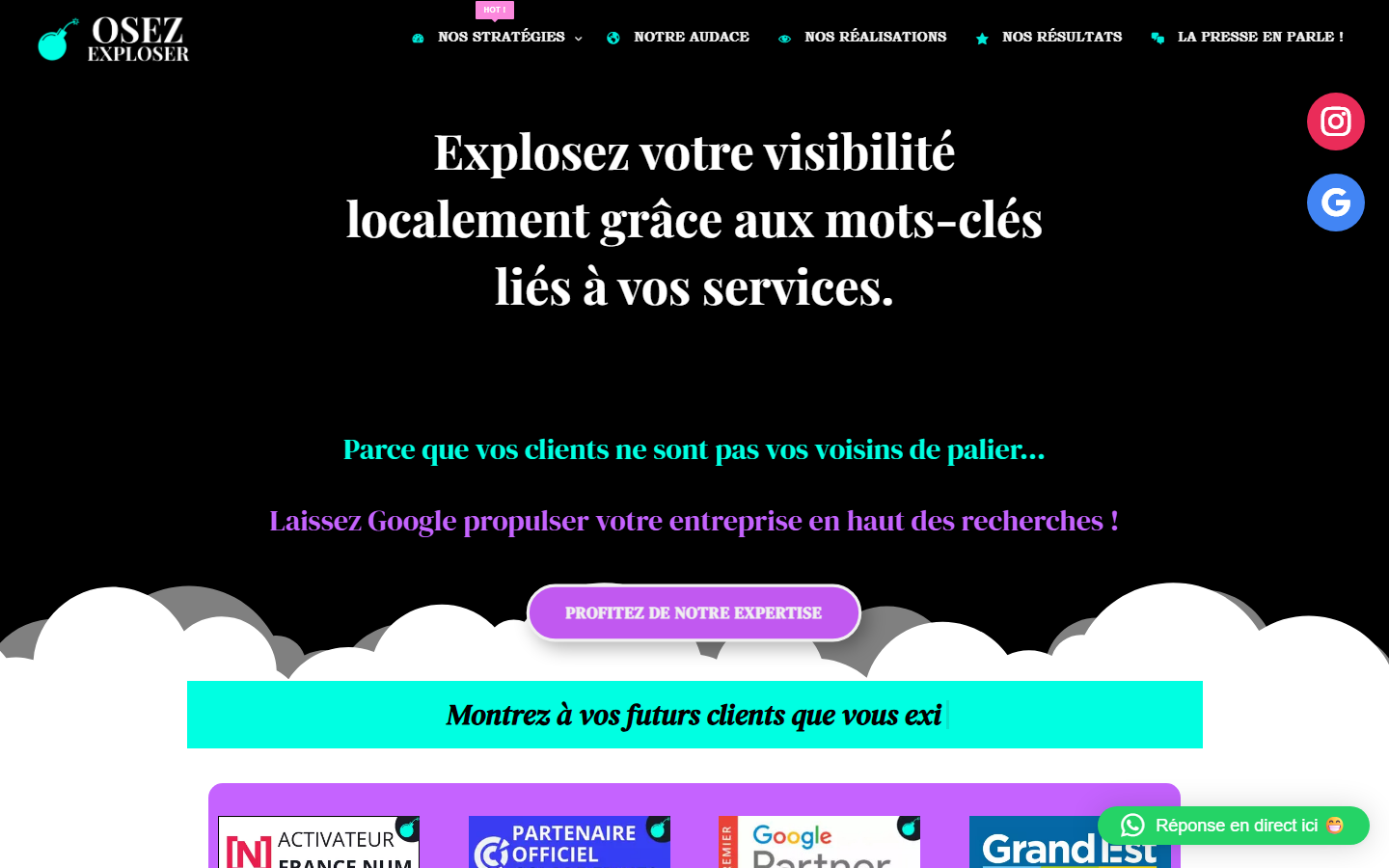 Aperçu du site de Osez Exploser !