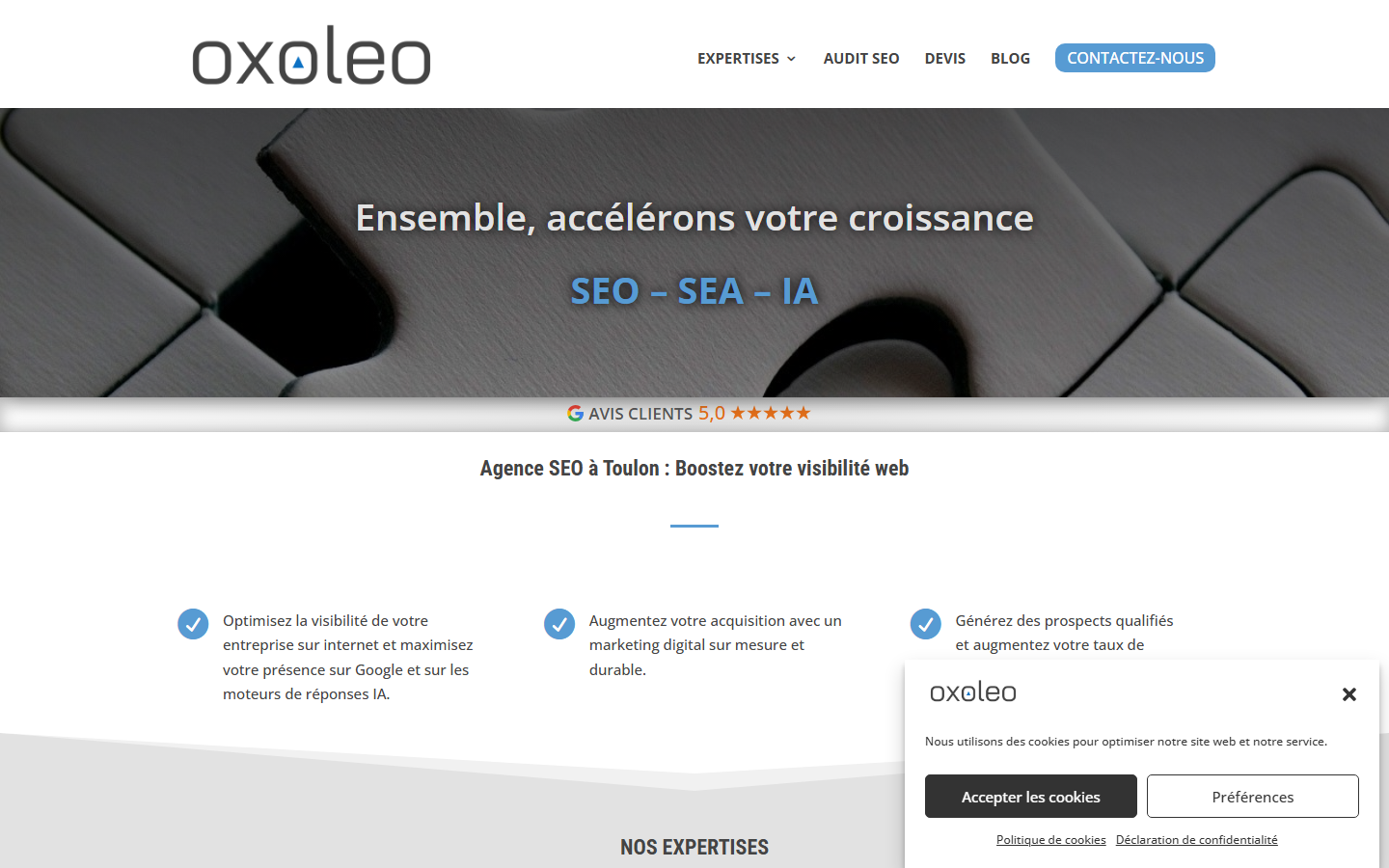 Aperçu du site de OXOLEO