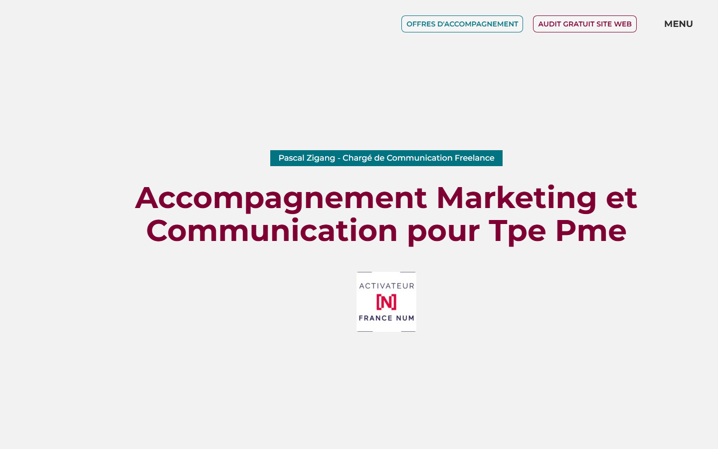 Aperçu du site de PZ Conseils