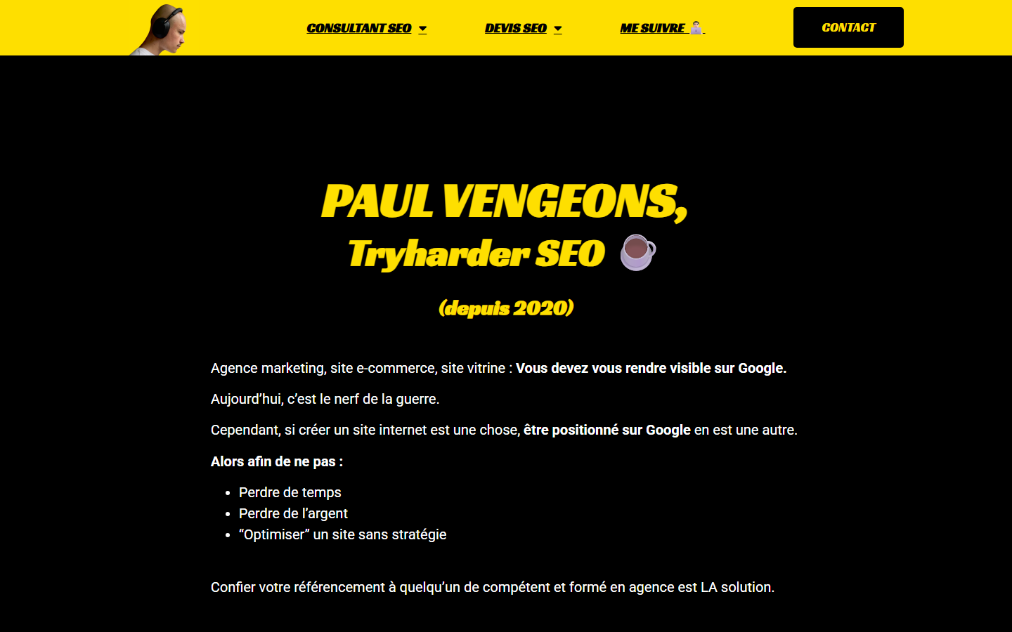 Aperçu du site de MONSIEUR PAUL VENGEONS