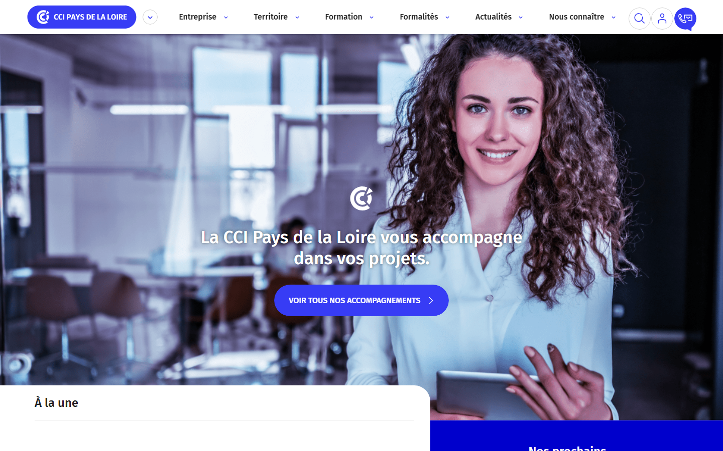 Aperçu du site de CHAMBRE DE COMMERCE ET D'INDUSTRIE LE MANS SARTHE