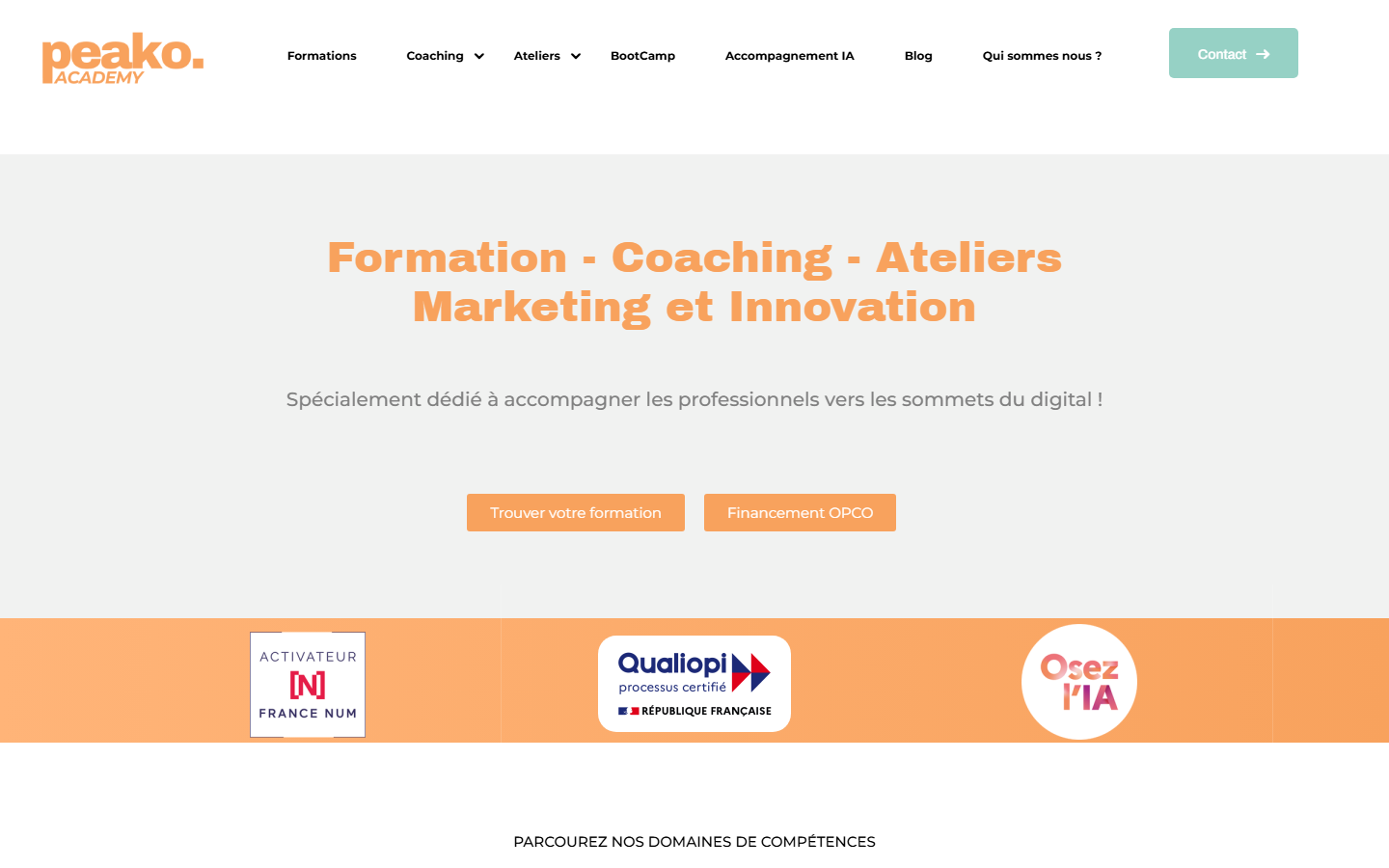 Aperçu du site de PEAKO ACADEMY