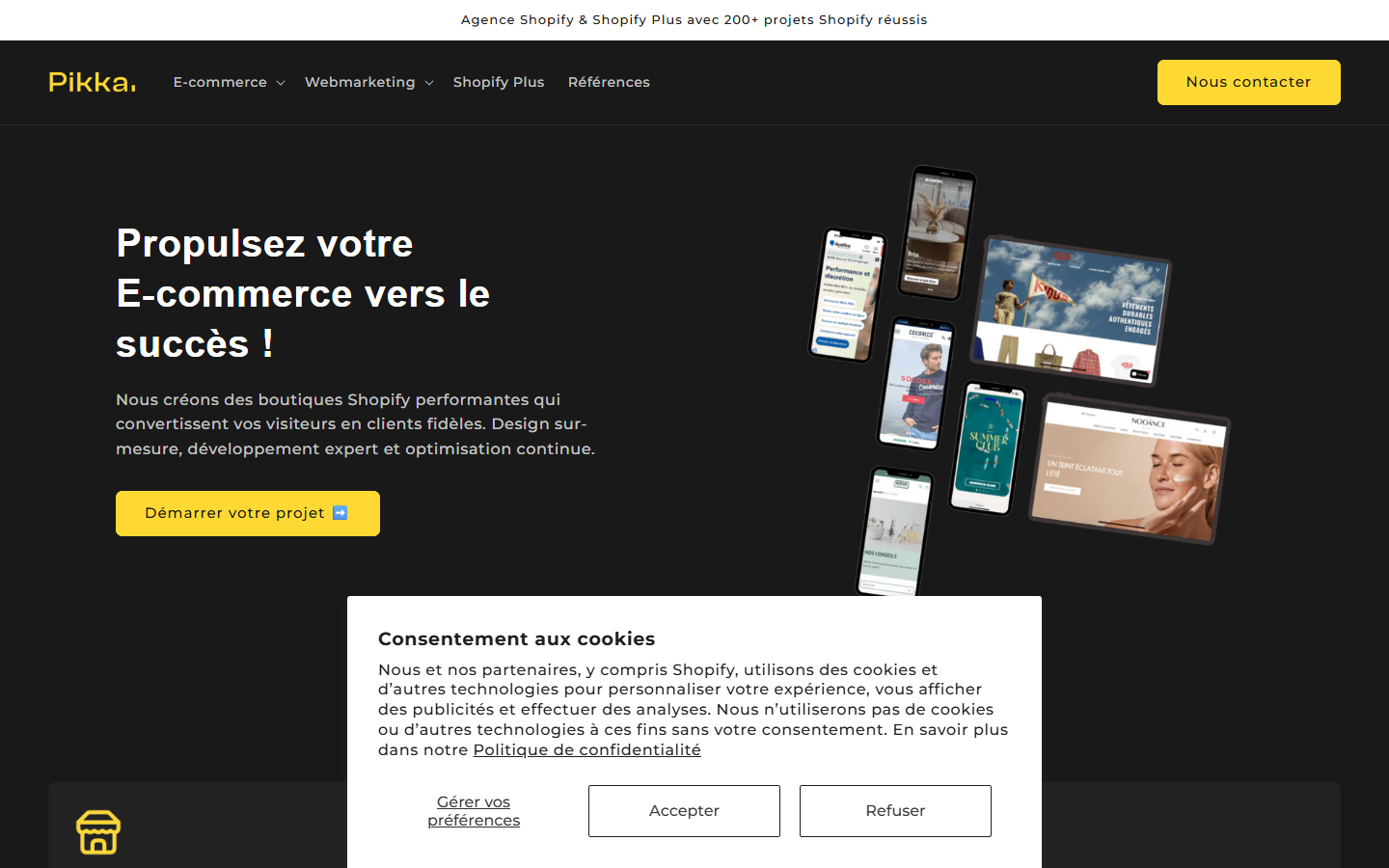 Aperçu du site de AGENCE PIKKA