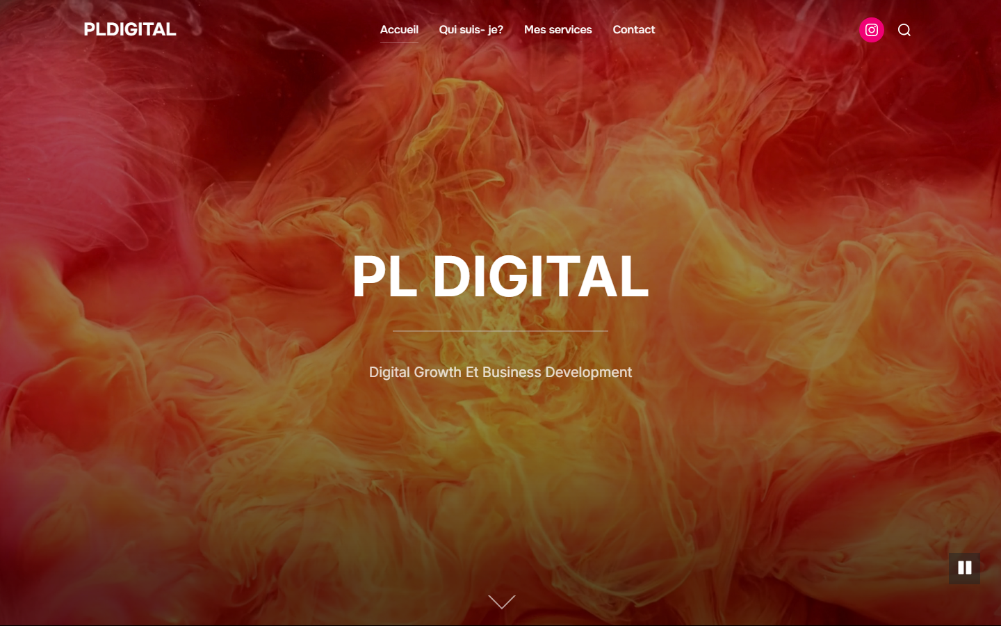 Aperçu du site de pldigital