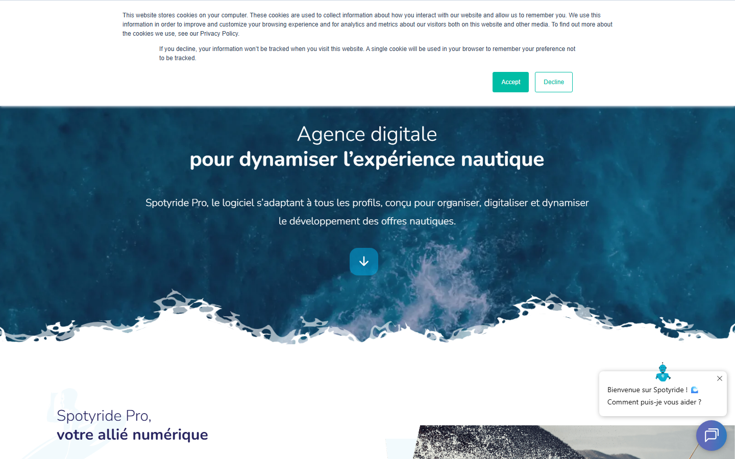 Aperçu du site de spotyride