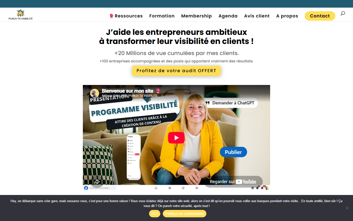 Aperçu du site de PUNCHTAVISIBILITE