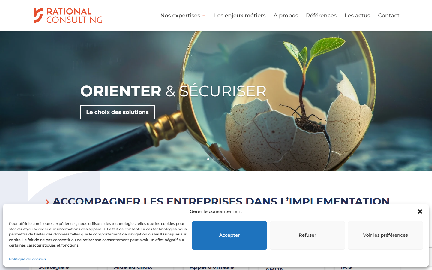 Aperçu du site de RATIONAL CONSULTING