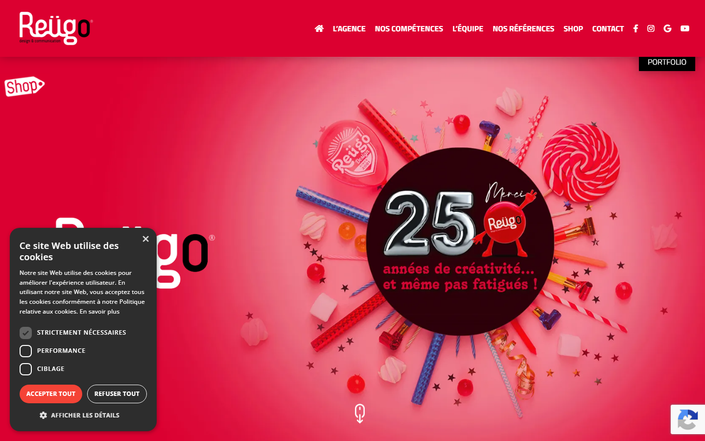 Aperçu du site de REUGO