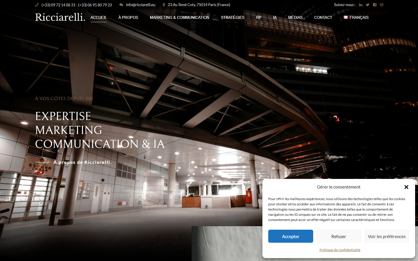 Aperçu du site de Ricciarelli Consulting