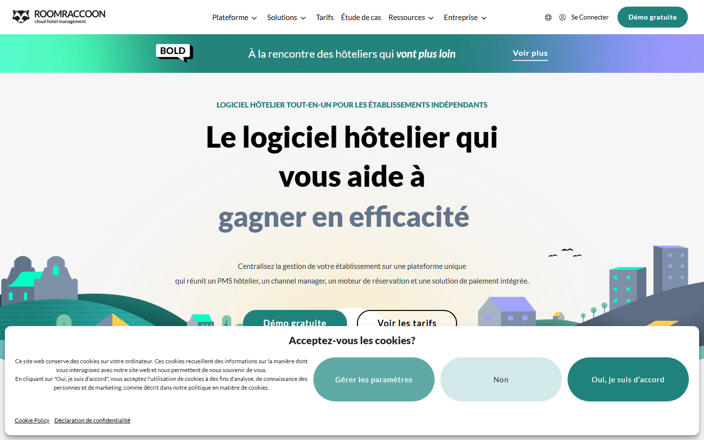 Aperçu du site de RoomRaccoon