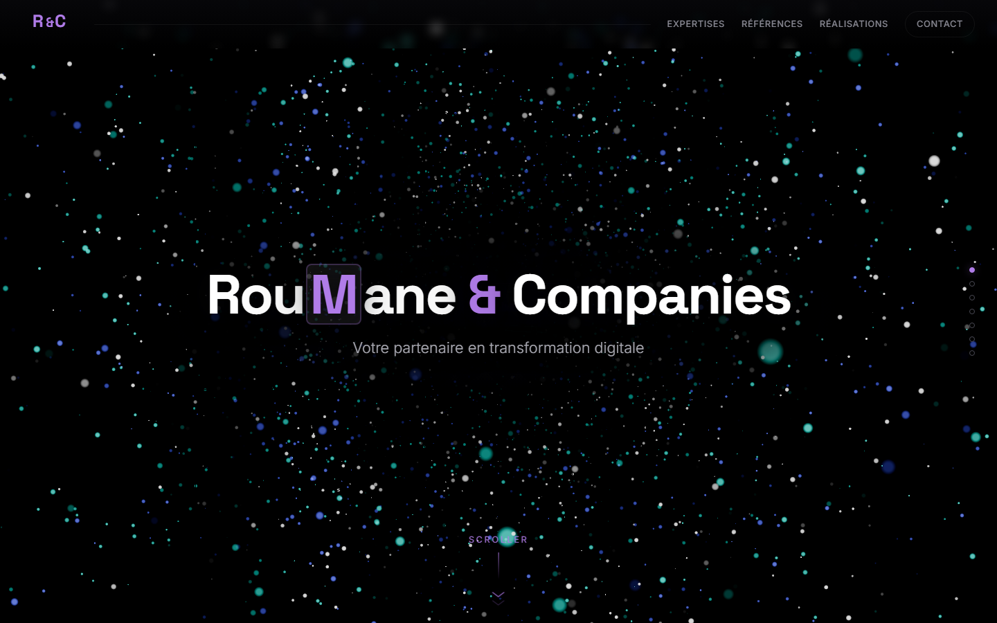 Aperçu du site de Roumane & Companies