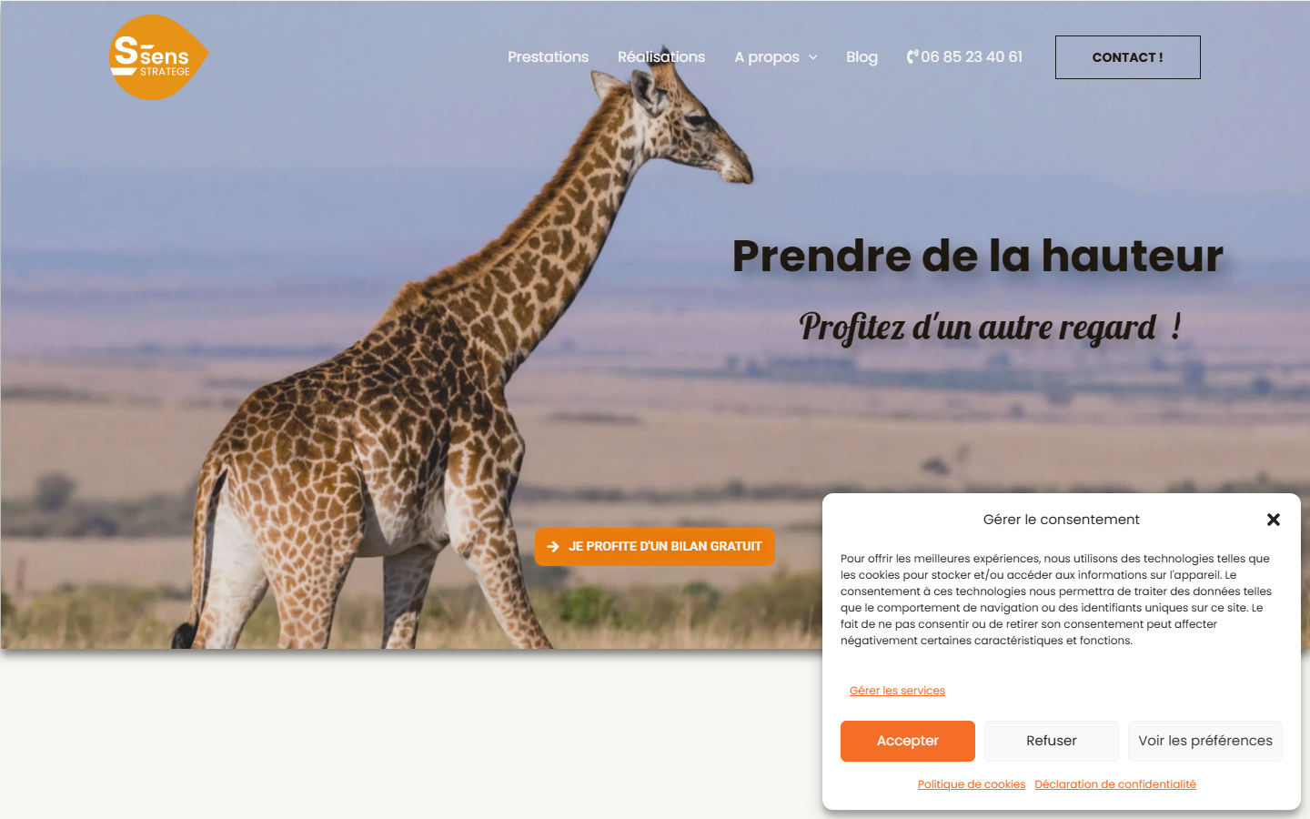 Aperçu du site de S-SENS-STRATEGE