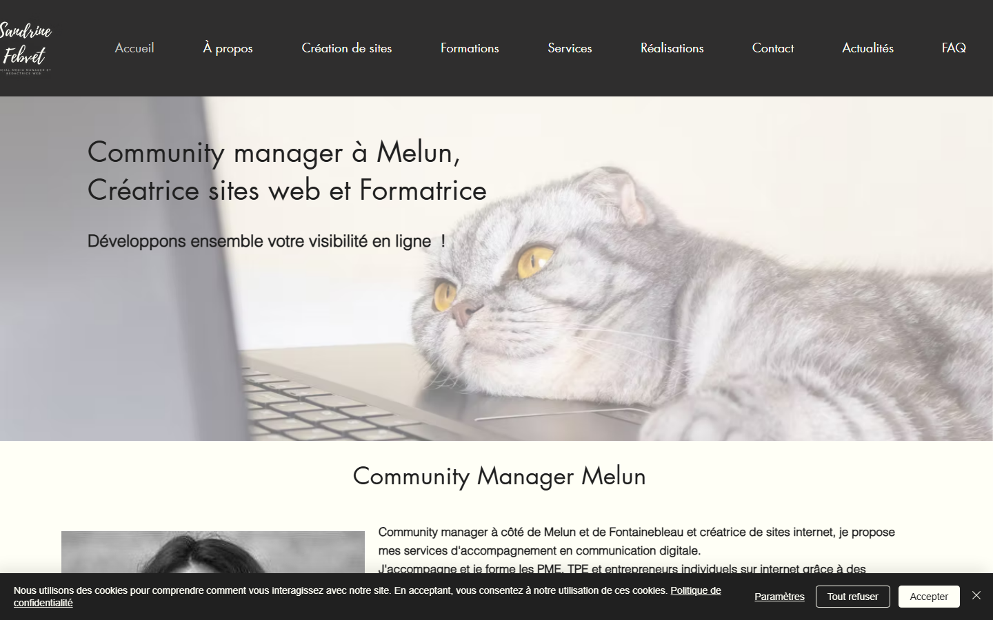 Aperçu du site de Sandrine Febvet