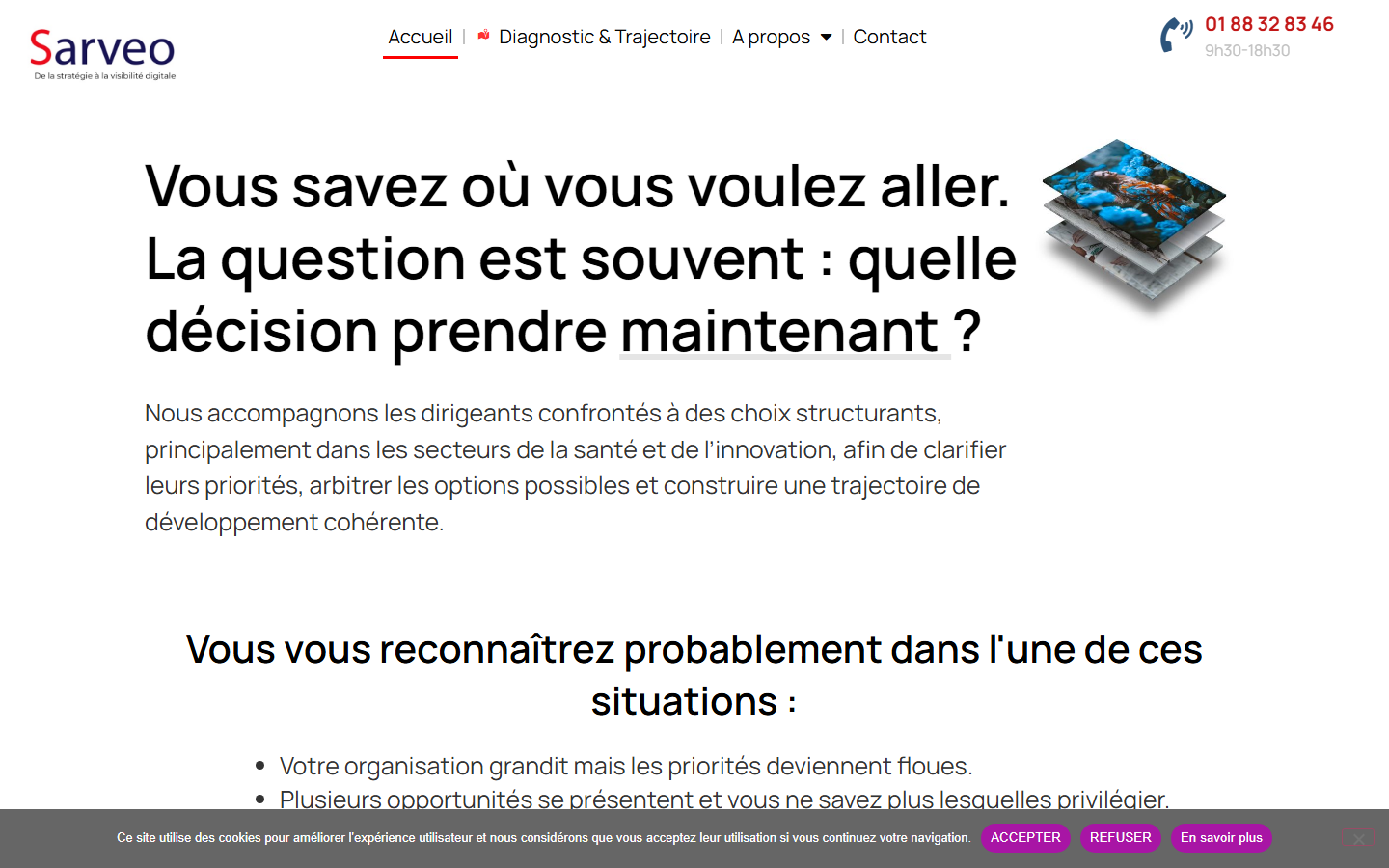 Aperçu du site de SARVEO