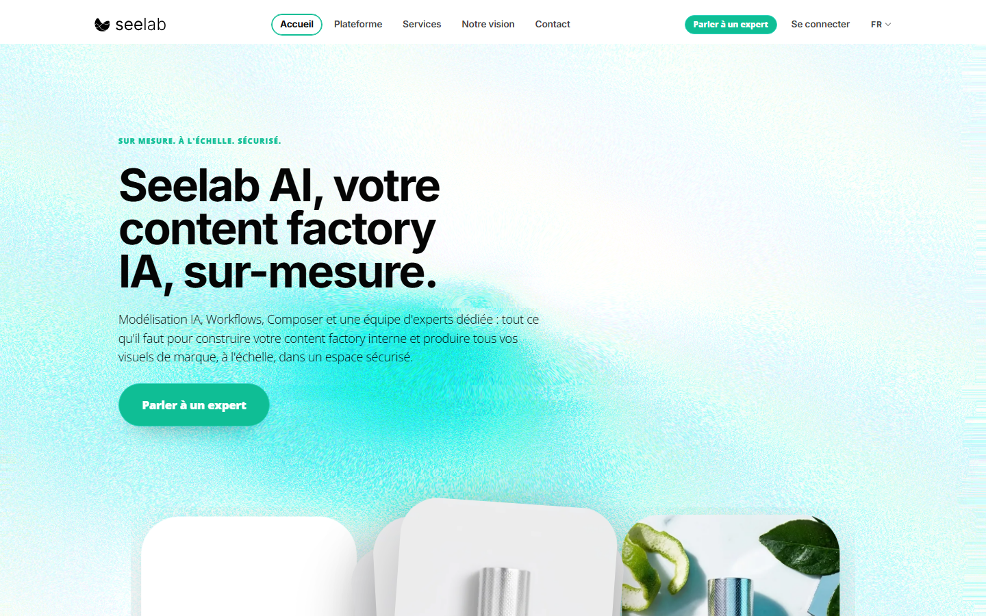 Aperçu du site de Seelab.ai