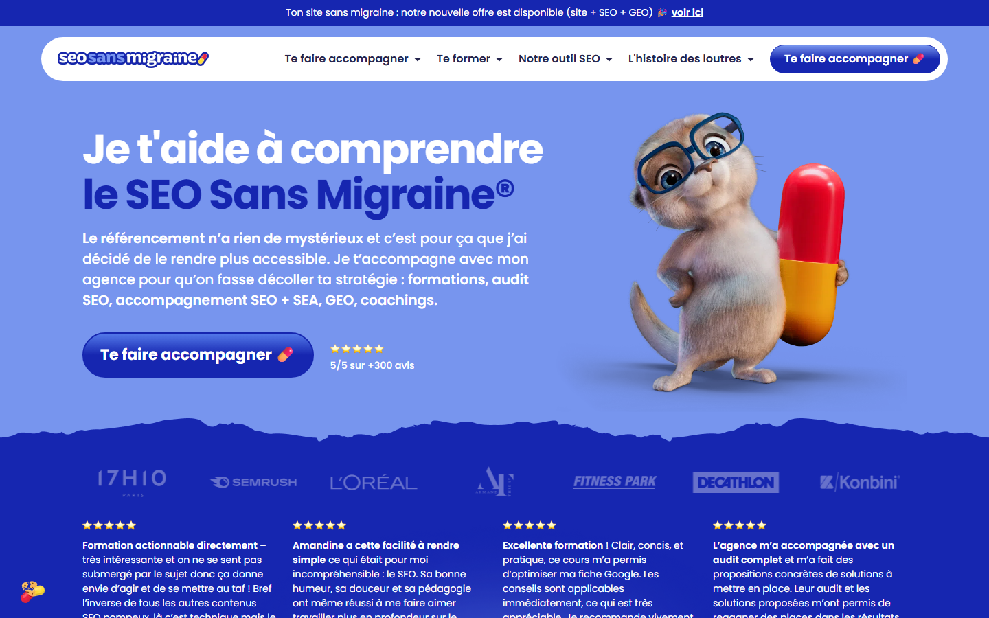 Aperçu du site de SEO SANS MIGRAINE