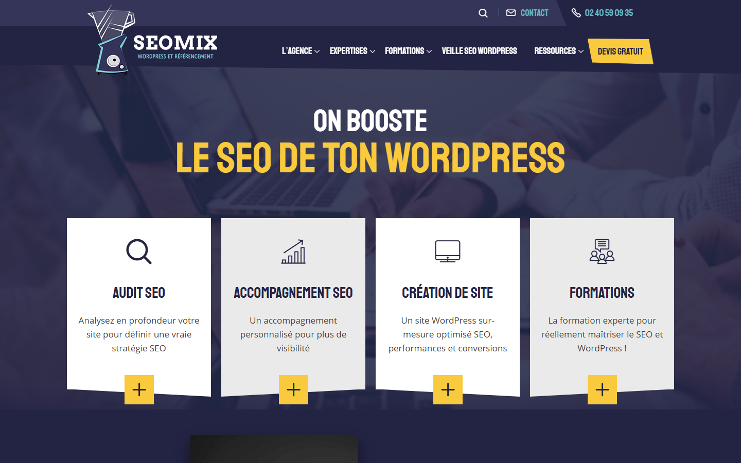 Aperçu du site de SEOMIX
